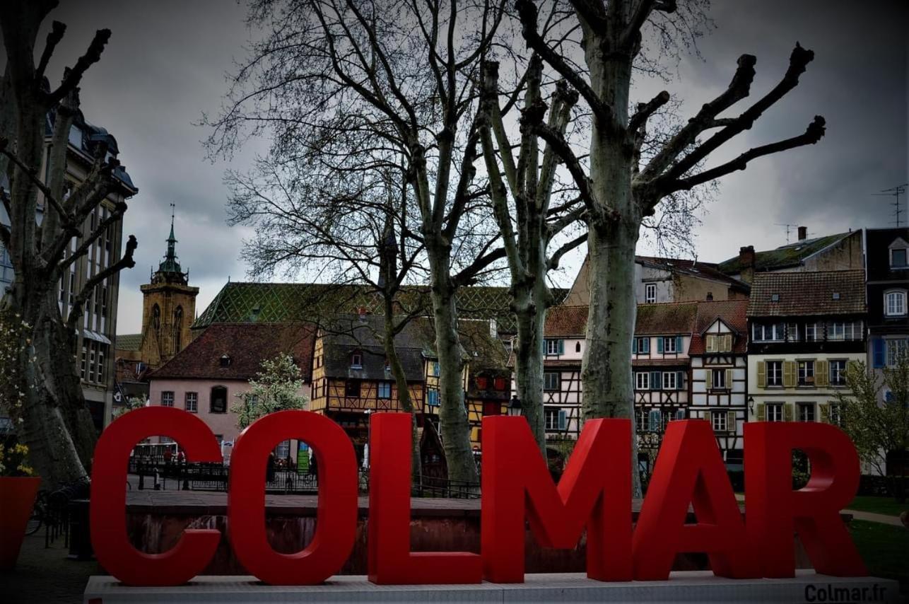 Charmant Appartement Cosy Porte De Colmar Sainte-Croix-en-Plaine Екстериор снимка