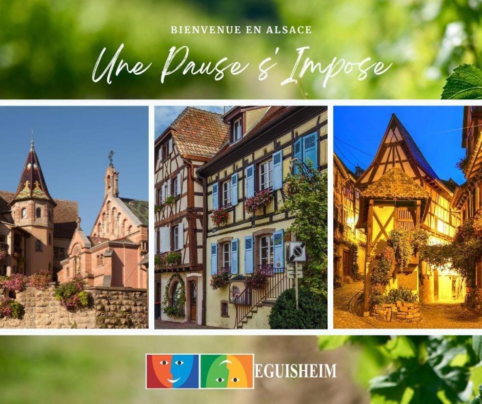 Charmant Appartement Cosy Porte De Colmar Sainte-Croix-en-Plaine Екстериор снимка