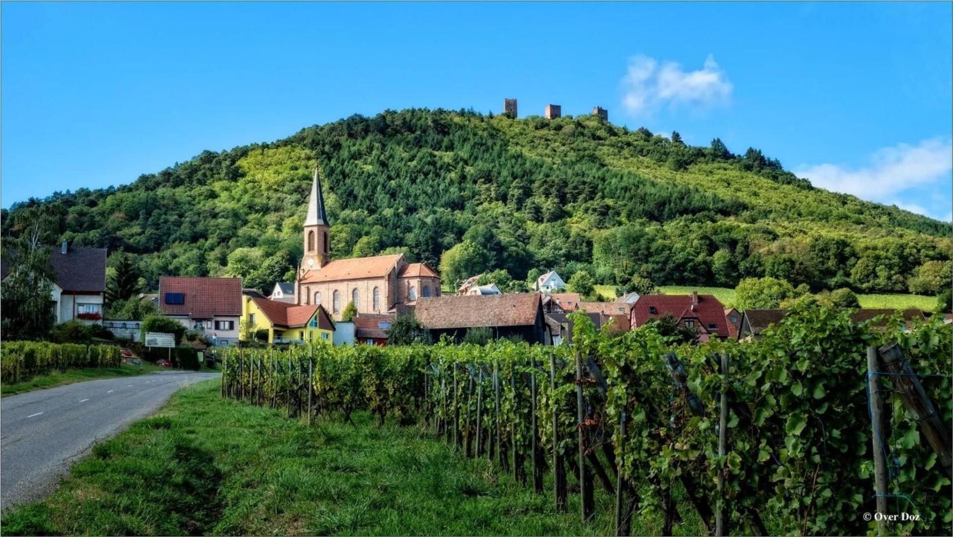 Charmant Appartement Cosy Porte De Colmar Sainte-Croix-en-Plaine Екстериор снимка